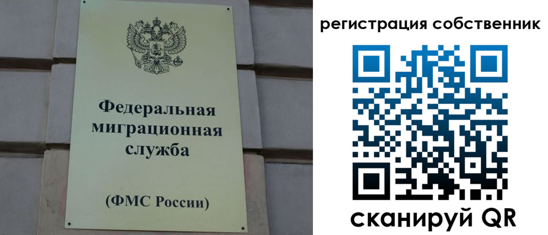 прописка гарантия в Ясном